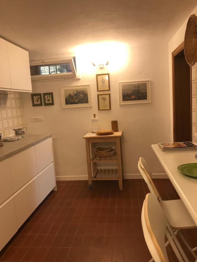 Appartement Campo Al Cerro à Bolgheri Extérieur photo