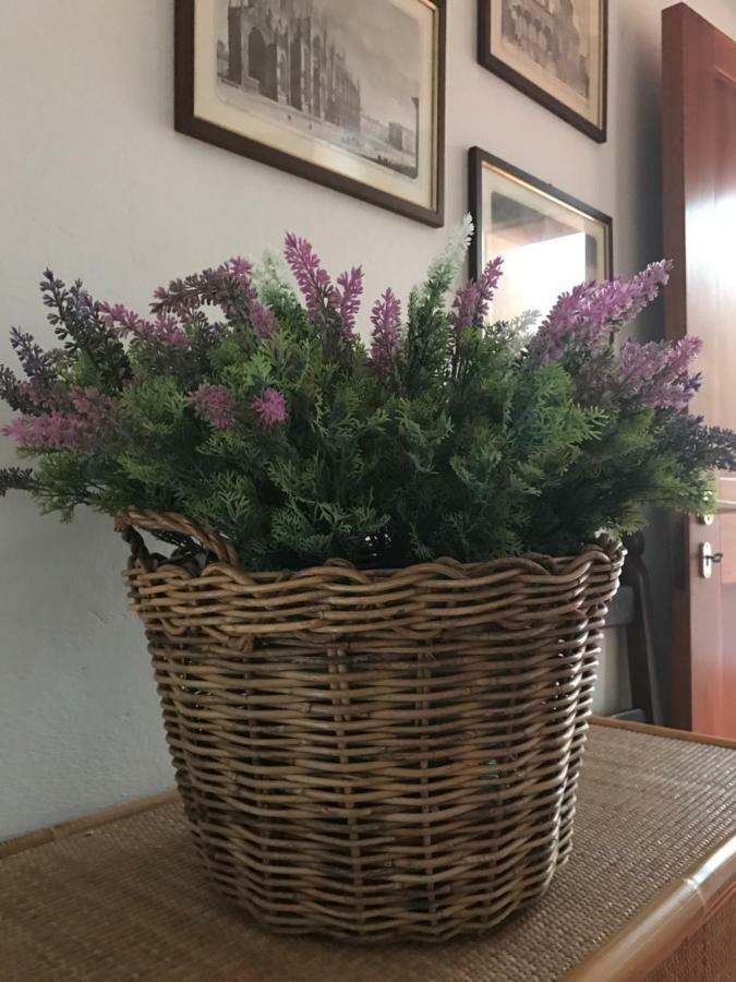 Appartement Campo Al Cerro à Bolgheri Extérieur photo