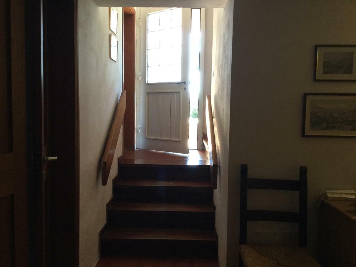 Appartement Campo Al Cerro à Bolgheri Extérieur photo