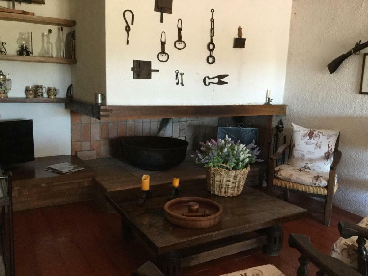 Appartement Campo Al Cerro à Bolgheri Extérieur photo