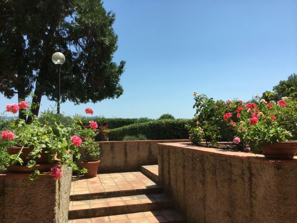 Appartement Campo Al Cerro à Bolgheri Extérieur photo